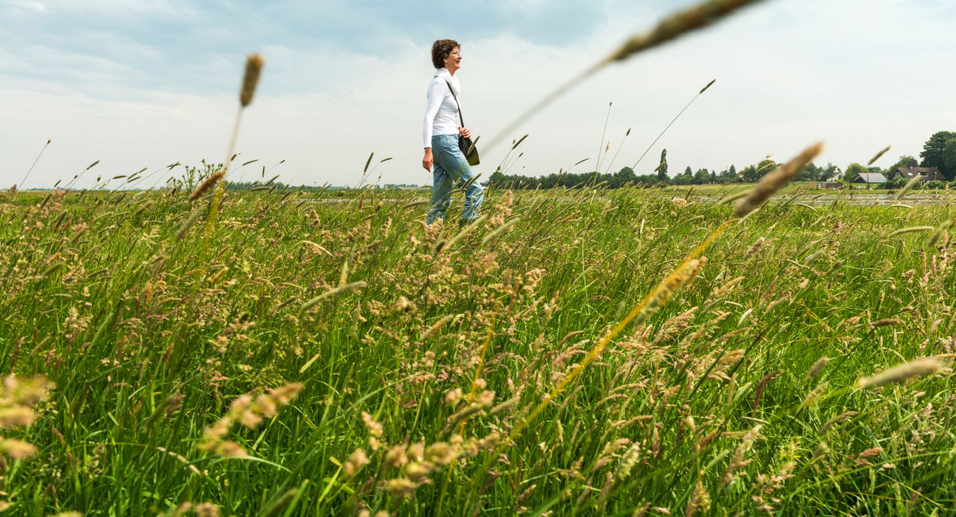 Wandelen door Ruygeborg