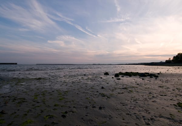 Schelphoek wad