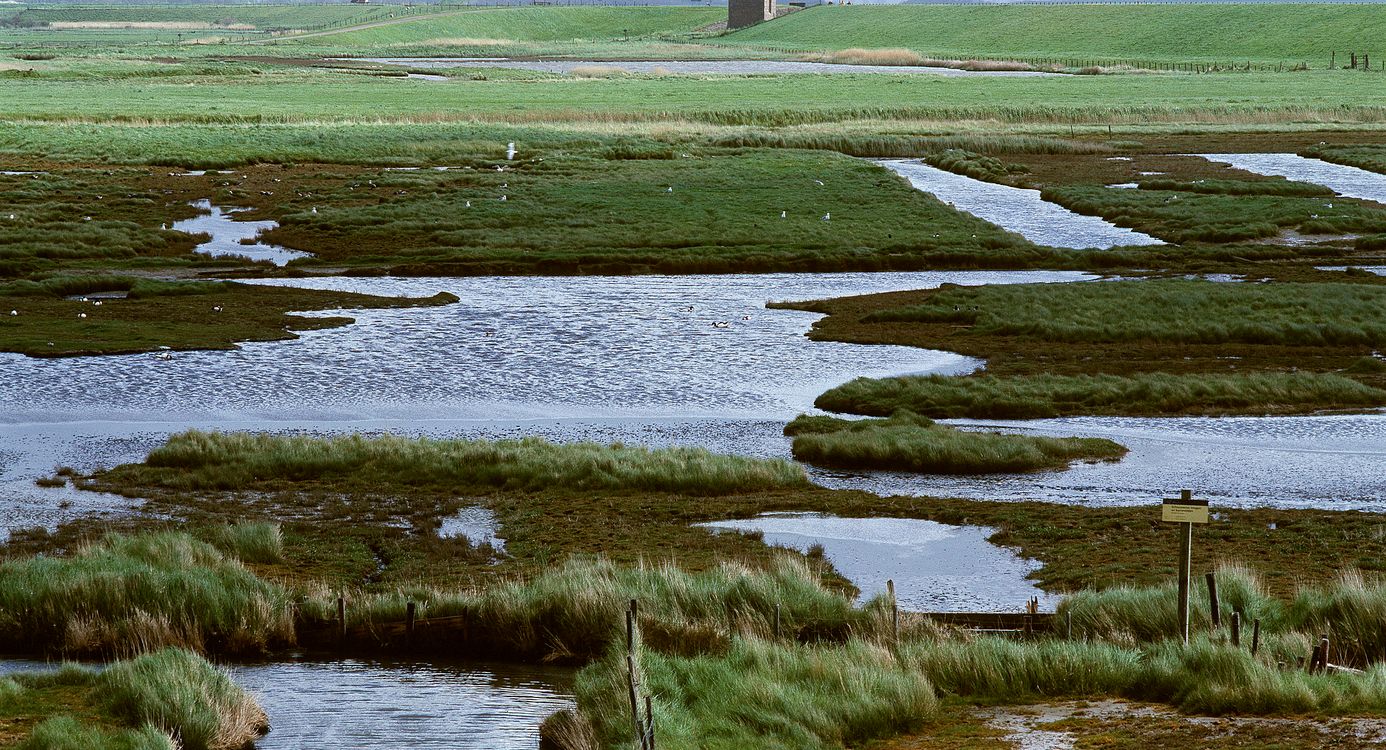 Uitzicht Plompe toren