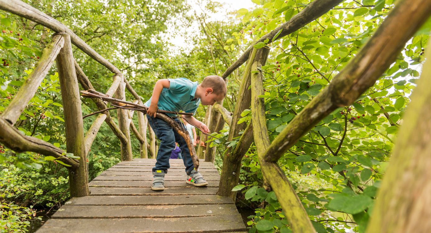 Sprookjesachtige bruggetjes
