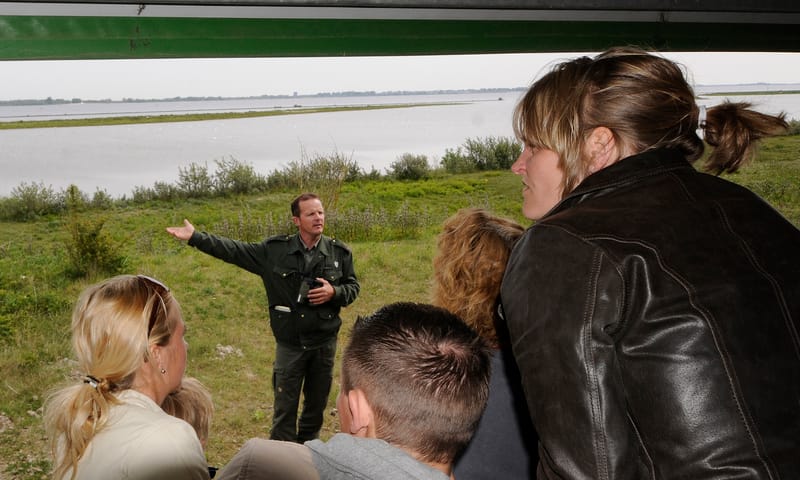 Wat wij doen in Scheelhoek