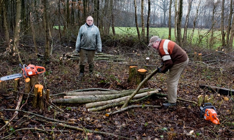 Hoge land van Vollenhove