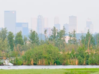 Ackerdijkse Plassen met uizicht op Rotterdam