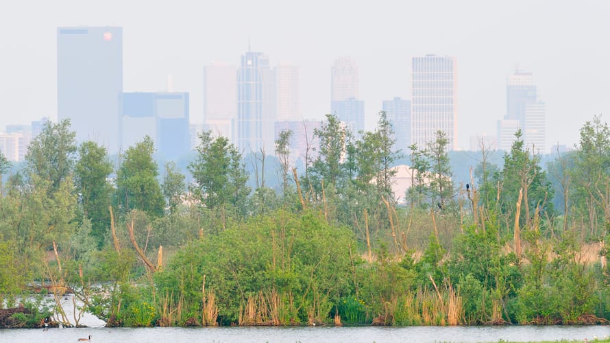 Ackerdijkse Plassen met uizicht op Rotterdam