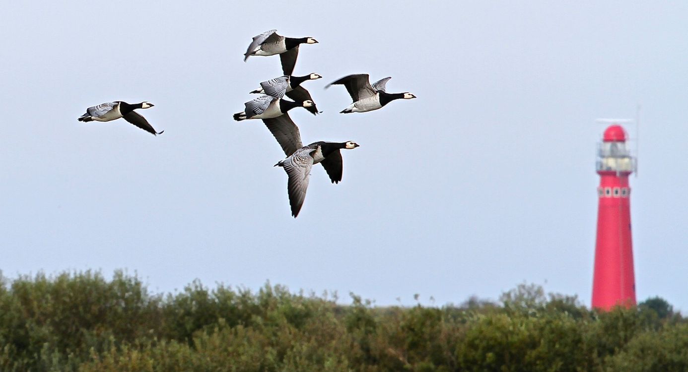 Schiermonnikoog
