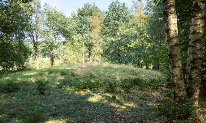Grafheuvel Hiemstrastate