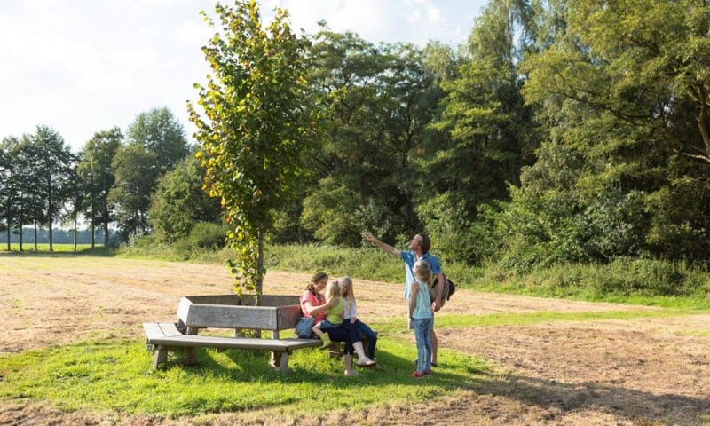 Koningslinde Hiemstrastate
