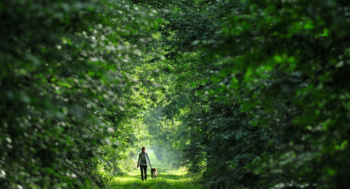 Wandelen op het klompenpad in Zwarte Broek