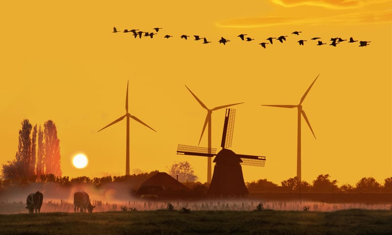 Nationale Landschap Enquête