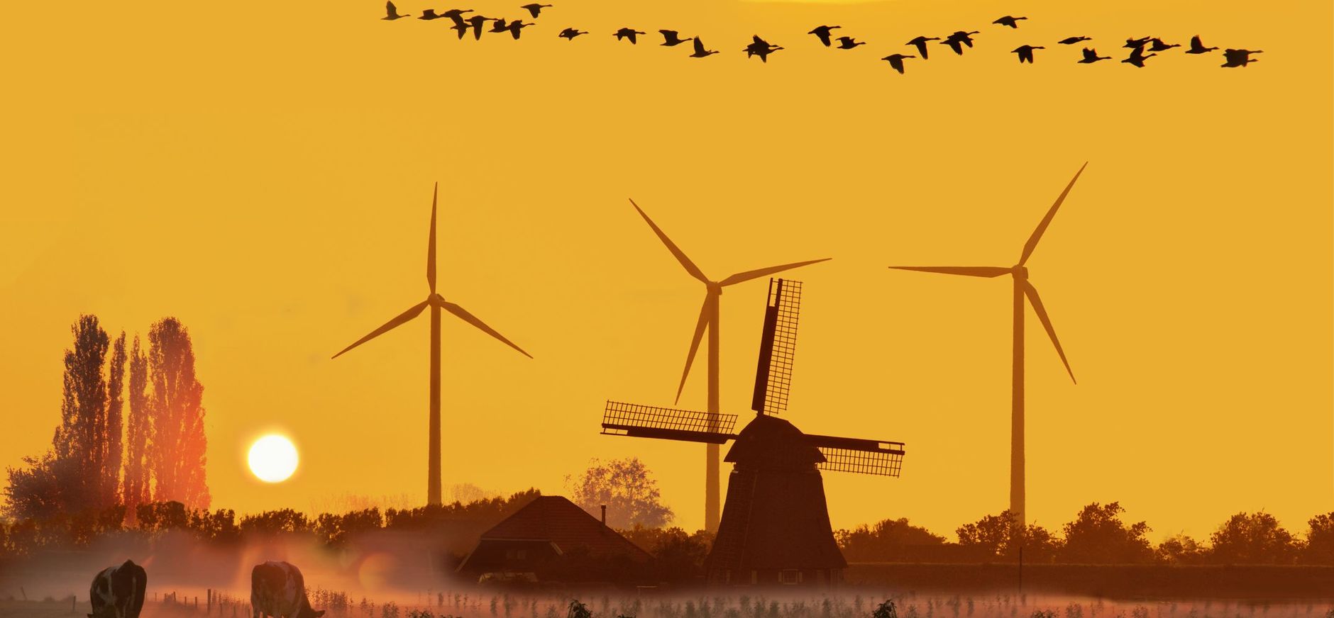 Nationale Landschap Enquête