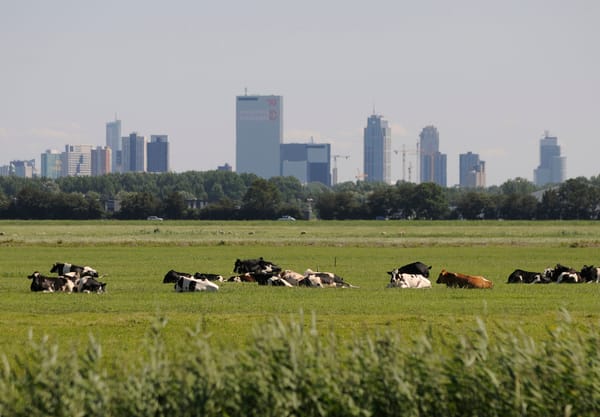 Polder Schieveen en Rotterdam