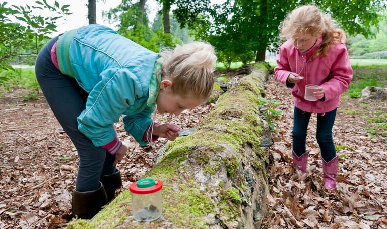 OERRR Op zoek naar diersporen met de boswachter