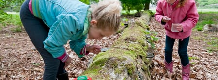 OERRR Op zoek naar diersporen met de boswachter