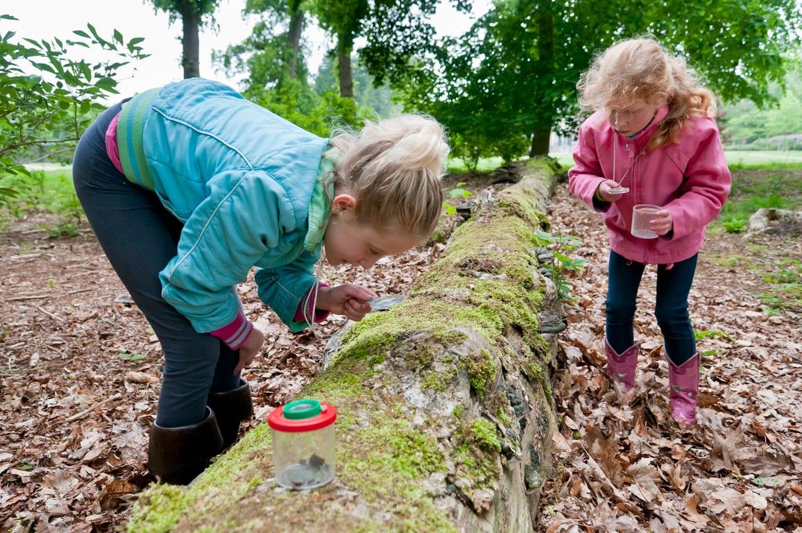 Duindetective: speuren naar sporen (6+)