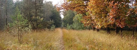 Stippelberg