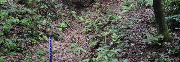 Sprengkop Wolfheze