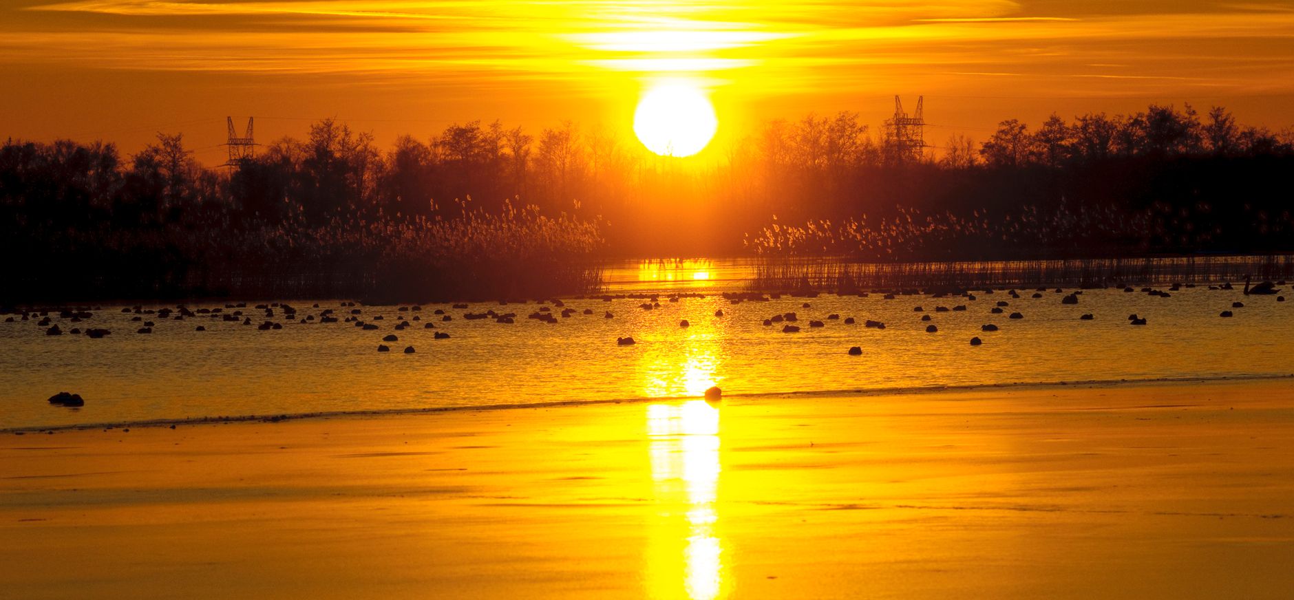 naardermeer winterzon 
