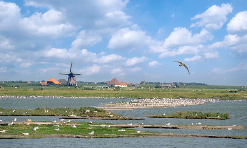 Harger- en Pettemerpolder
