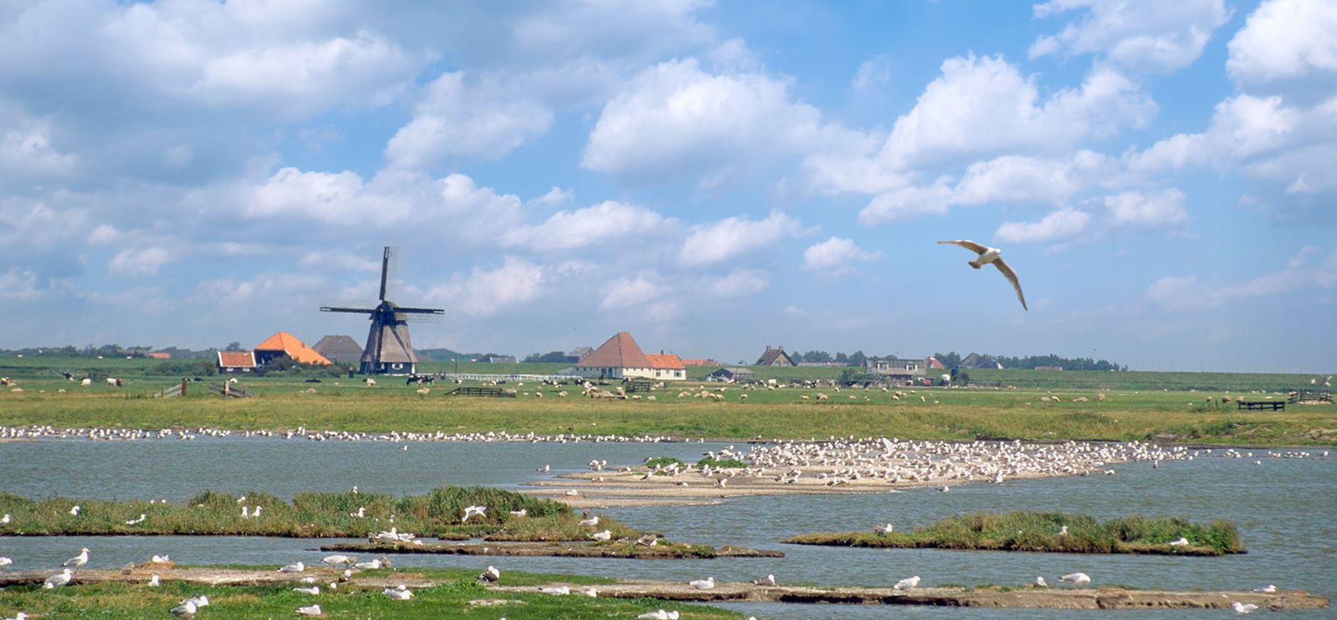 Harger- en Pettemerpolder