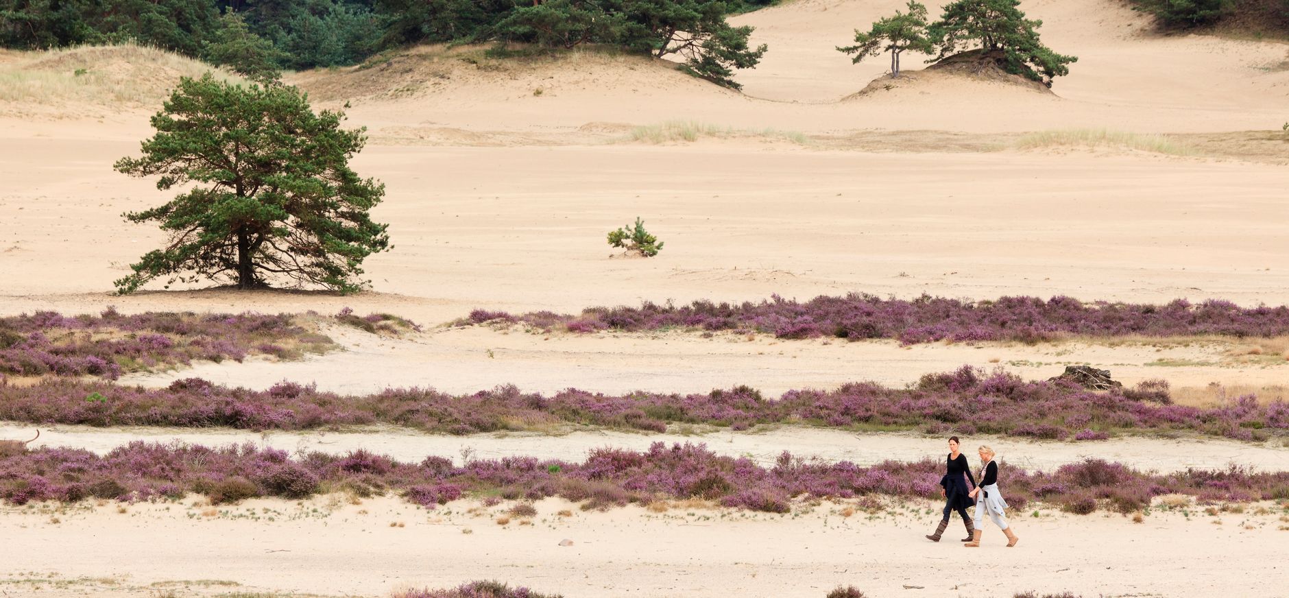Hulshorsterzand