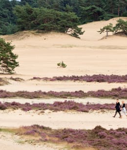 Hulshorsterzand