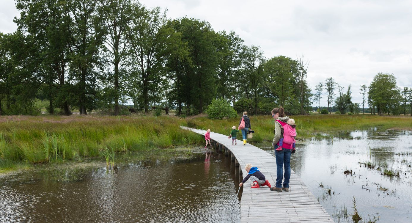Vlonderpad Empese en Tondense heide