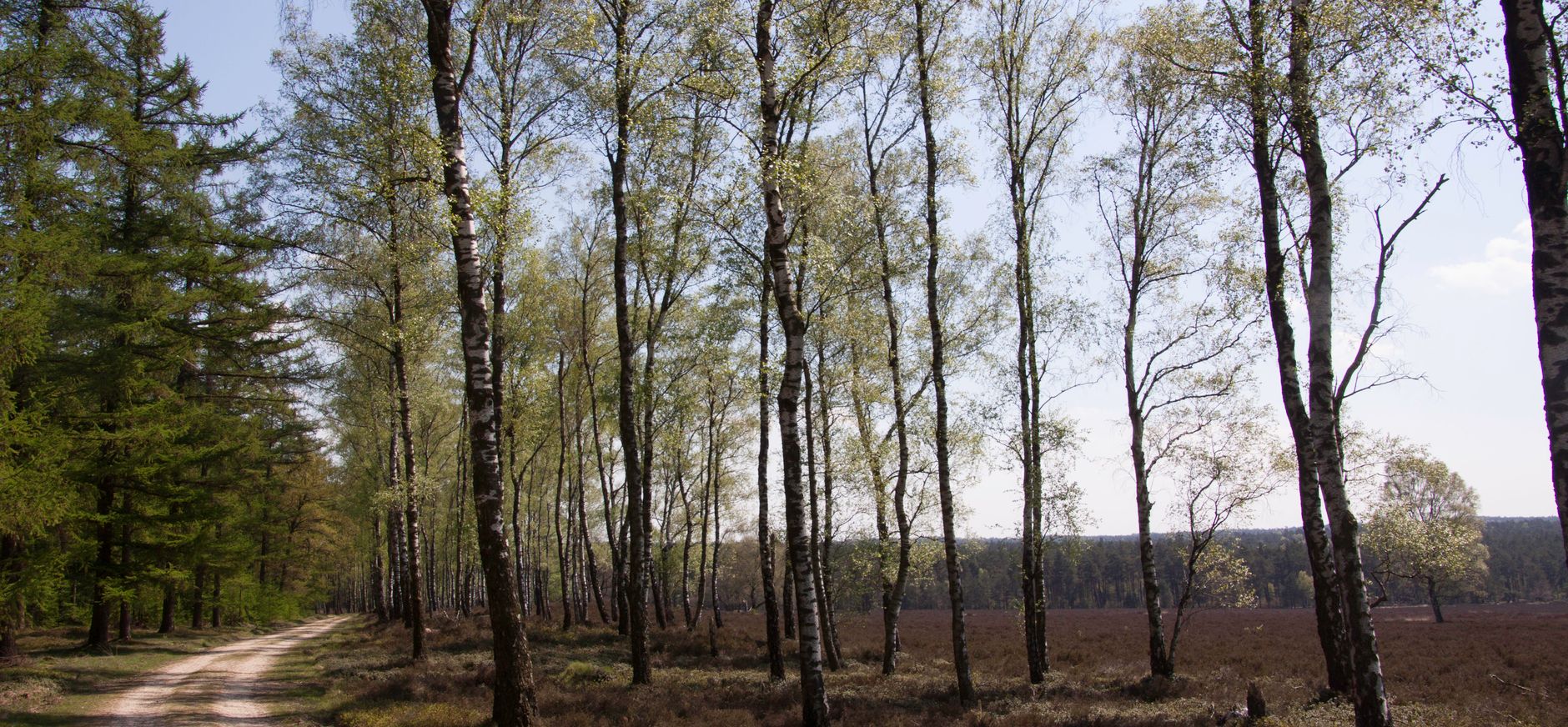 Wandelen op de Ramenberg