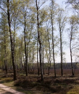 Wandelen op de Ramenberg