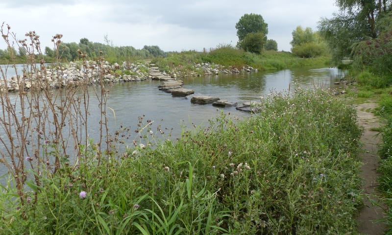 Maasuiterwaarden - Empelse Waard