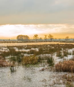Soerense broek