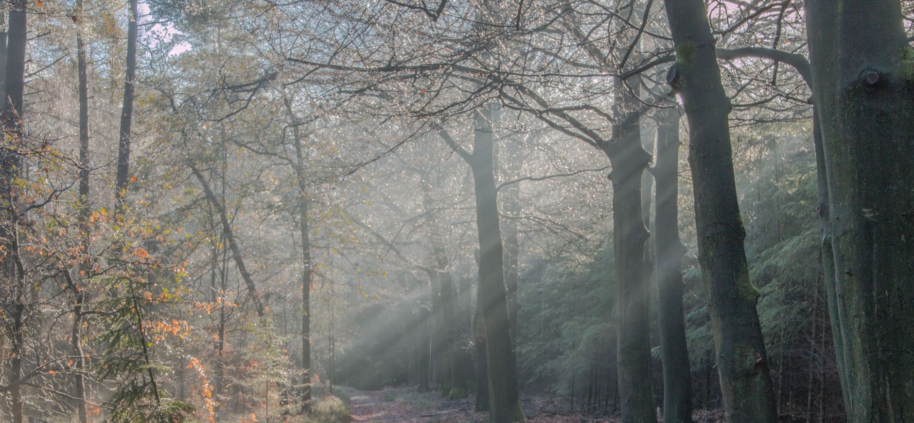 Hoeve Delle