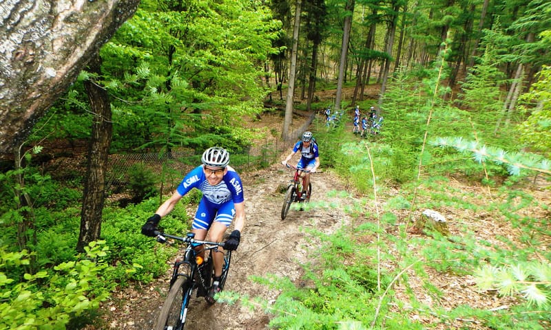 Group mountainbikers door het bos