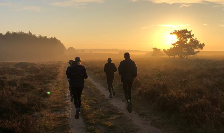 Safari-Jogging op de Veluwe