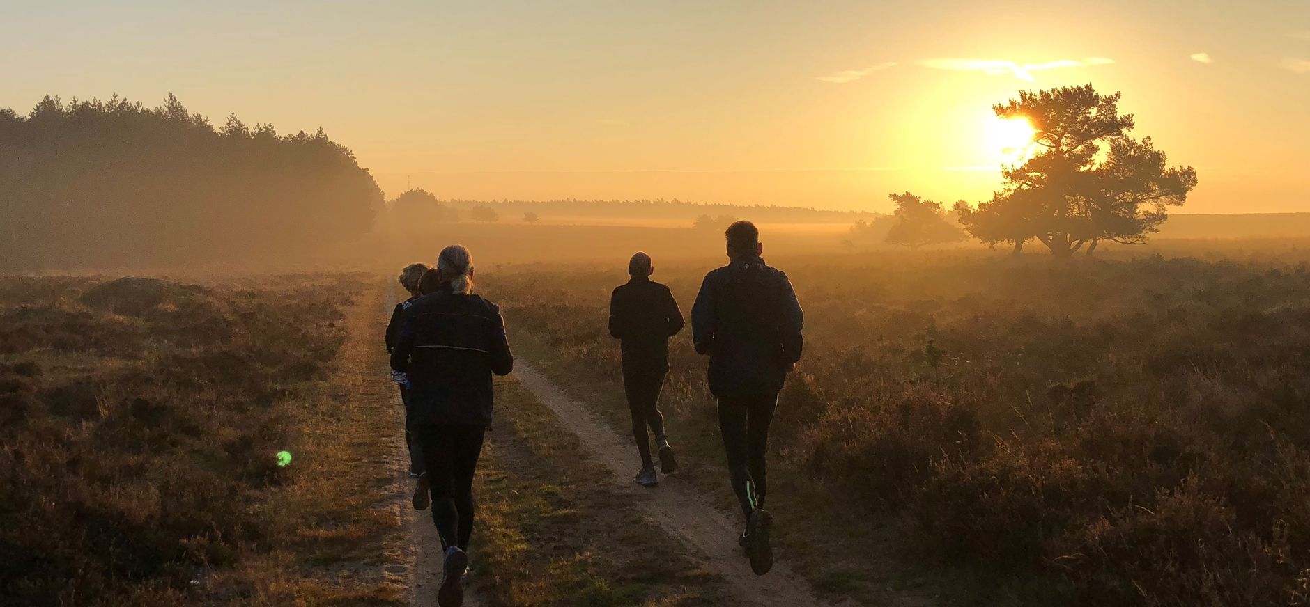 Safari-Jogging op de Veluwe