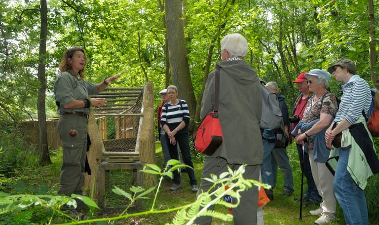 Vaartocht eendenkooi - De Wieden