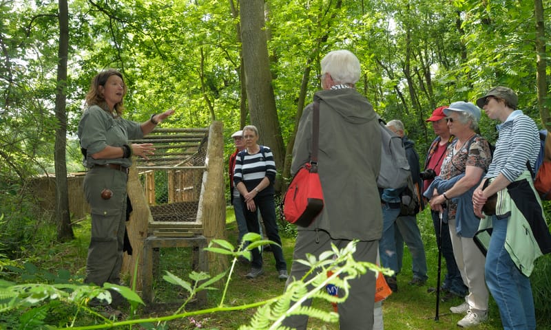 Vaartocht eendenkooi - De Wieden