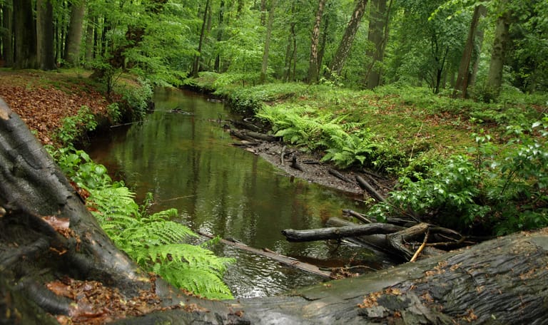 Leuvenumse beek