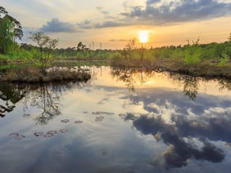 Midzomernachtloop Oisterwijk