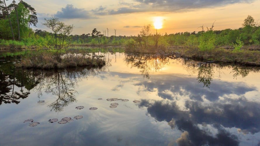 Midzomernachtloop Oisterwijk
