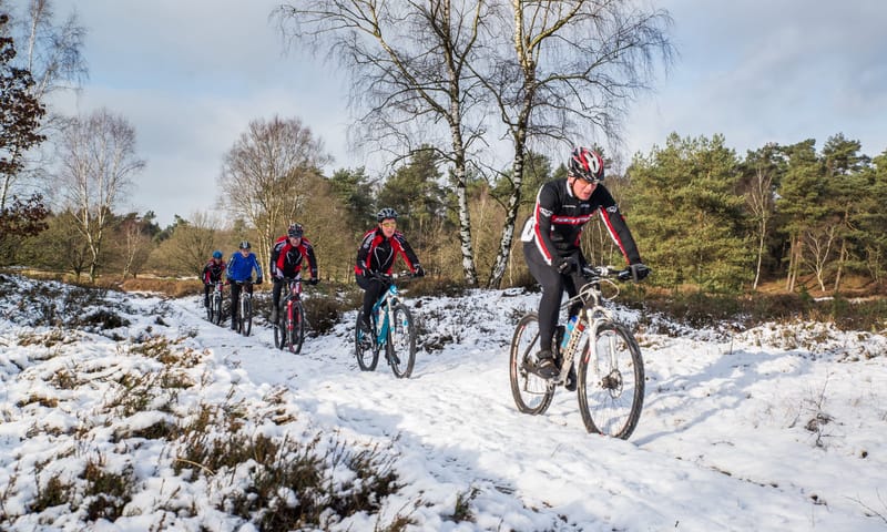 mountain-biken in het Drents-Friese Wold