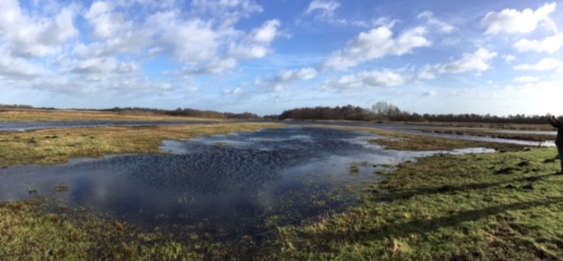 Oostelijke binnenpolder Tienhoven_groot