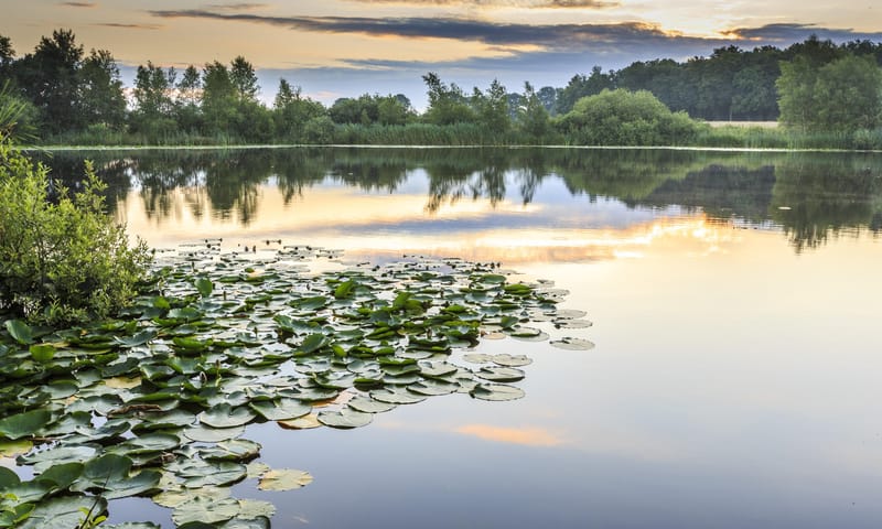 Stilte vaartocht - De Wieden