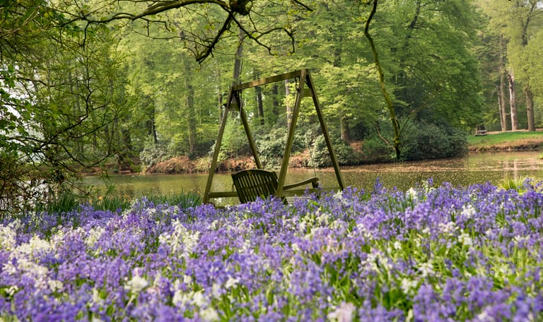 Voorjaarsbloeiers op landgoed Oldenaller