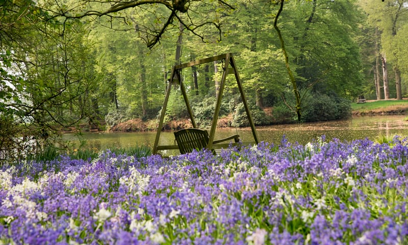 Voorjaarsbloeiers op landgoed Oldenaller