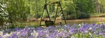 Voorjaarsbloeiers op landgoed Oldenaller