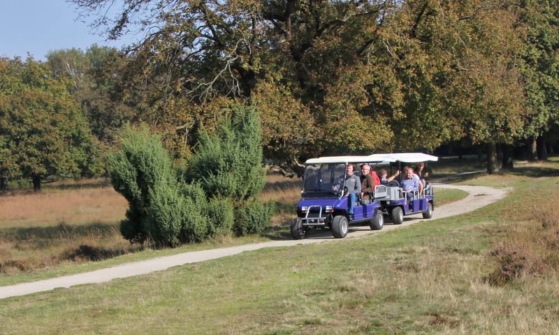 elektrokartoccht buurserzand betty morsinkhof