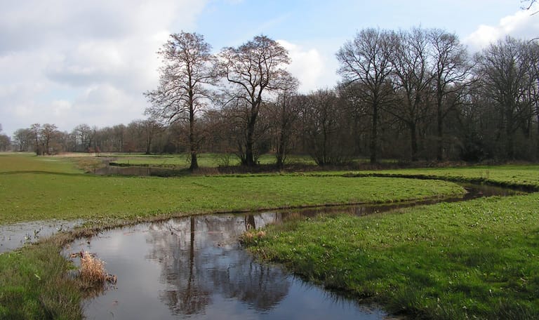 Klencke