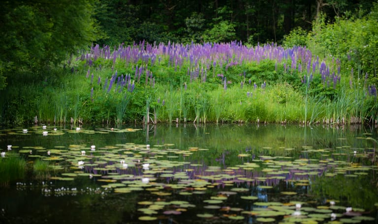 arboretum jose gieskes