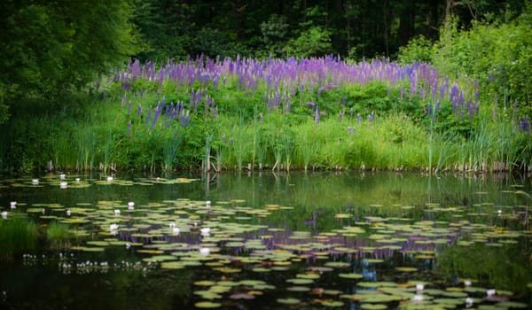 arboretum jose gieskes