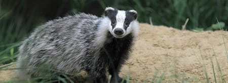 Das op landgoed Oldenaller